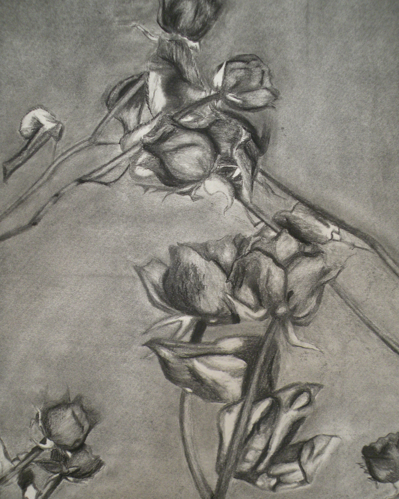 Study of a Biomorphic Form by RisingPhoenixArt on DeviantArt