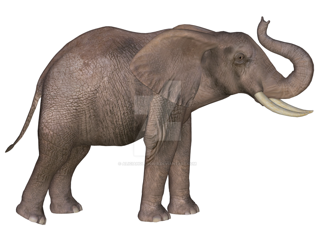 File:Deinotherium.png - Wikimedia Commons