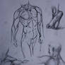 anatomy doodles