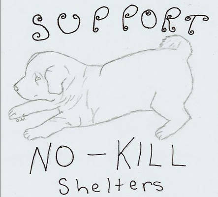Support no kill shelters