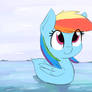 Dashie Duck