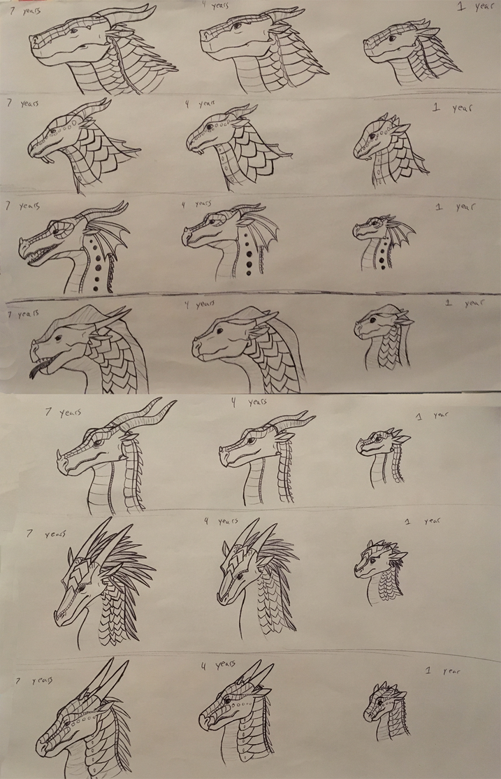 Wings of Fire Dragon ages study by IronZing on DeviantArt