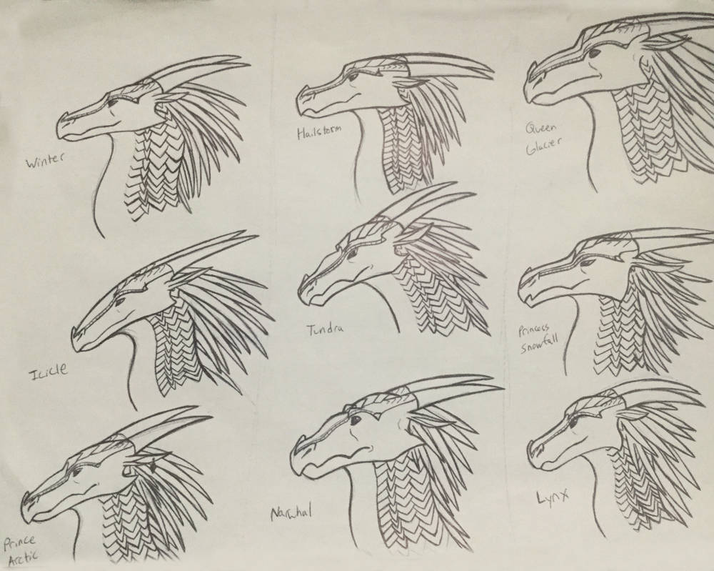 Simple Icewing Drawing How To Draw A Icewing From Wings Of Fire