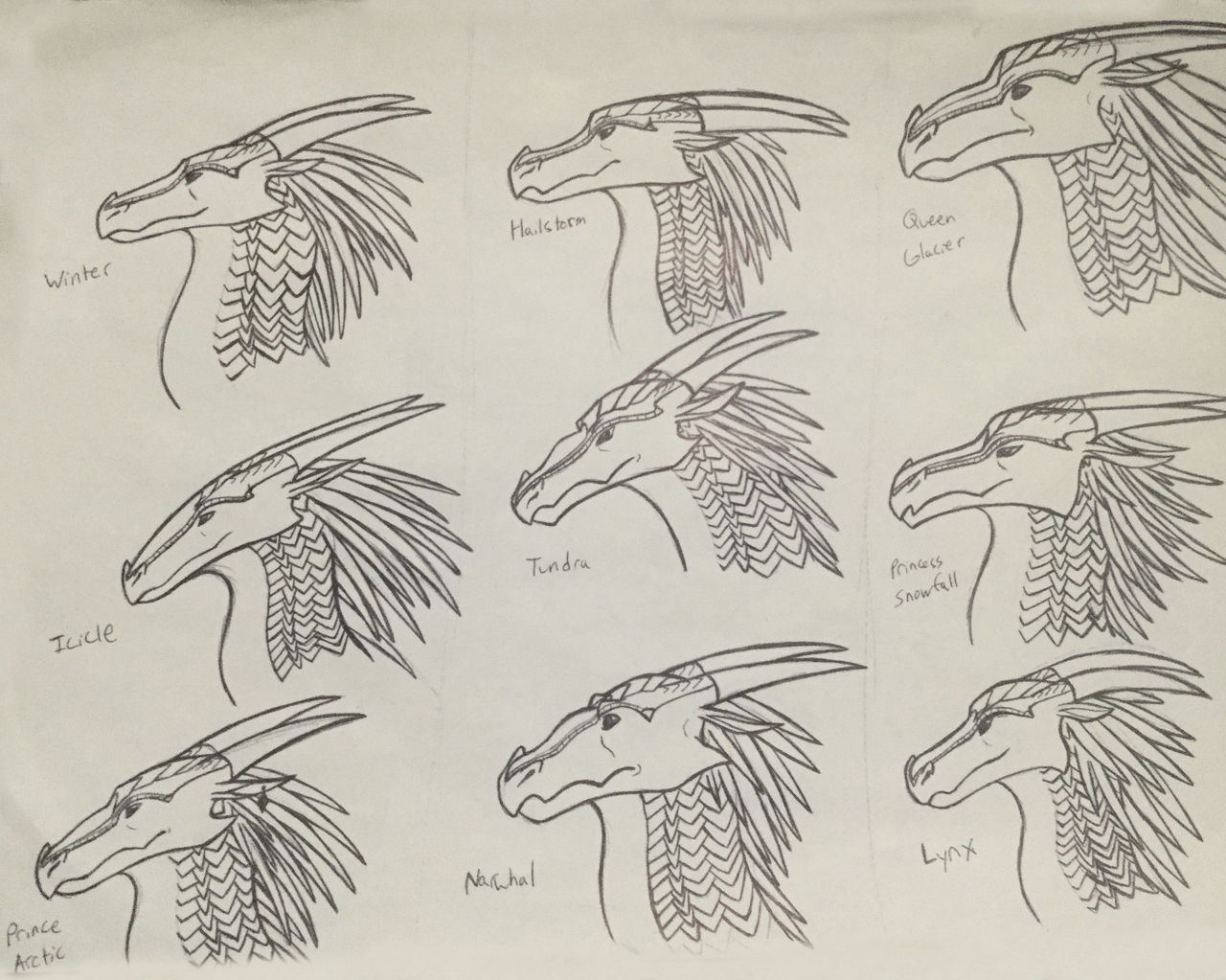 Icewing Description Wings of Fire: Icewing character studies by Iron-Zing on DeviantArt
