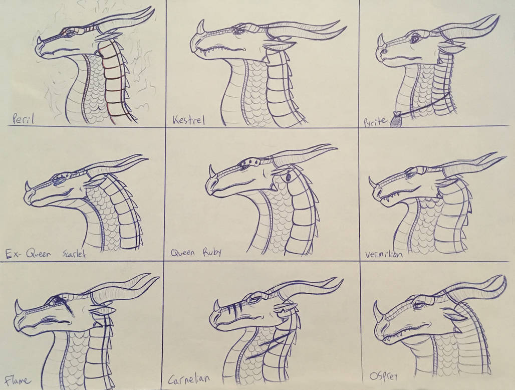 Skywing Reference Wings of Fire: Skywing character studies by Iron-Zing on DeviantArt