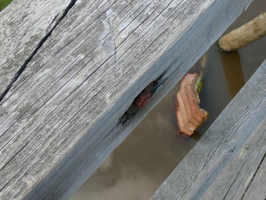 Reed Bridge by BlueLarus on DeviantArt