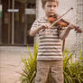 Violin Boy