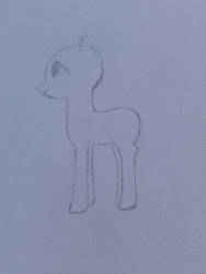 Pony 1