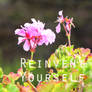 Reinvent Yourself