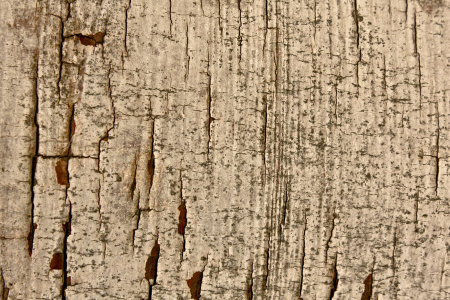woodsketch by mistyt-stock