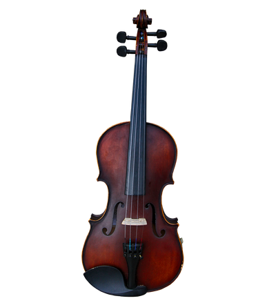 single violin