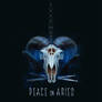 Peace On Aries