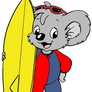 Blinky Bill and Surf 