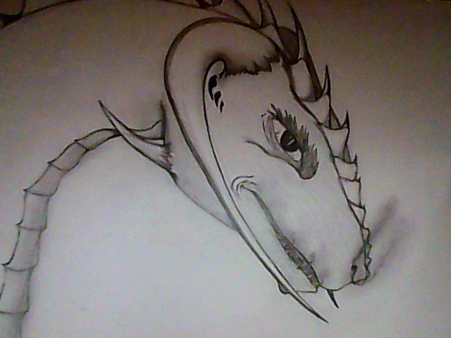 Dragon Head