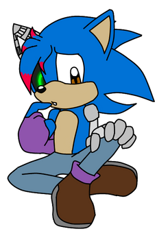 Eric the Hedgehog