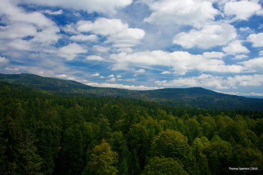 On top of the trees