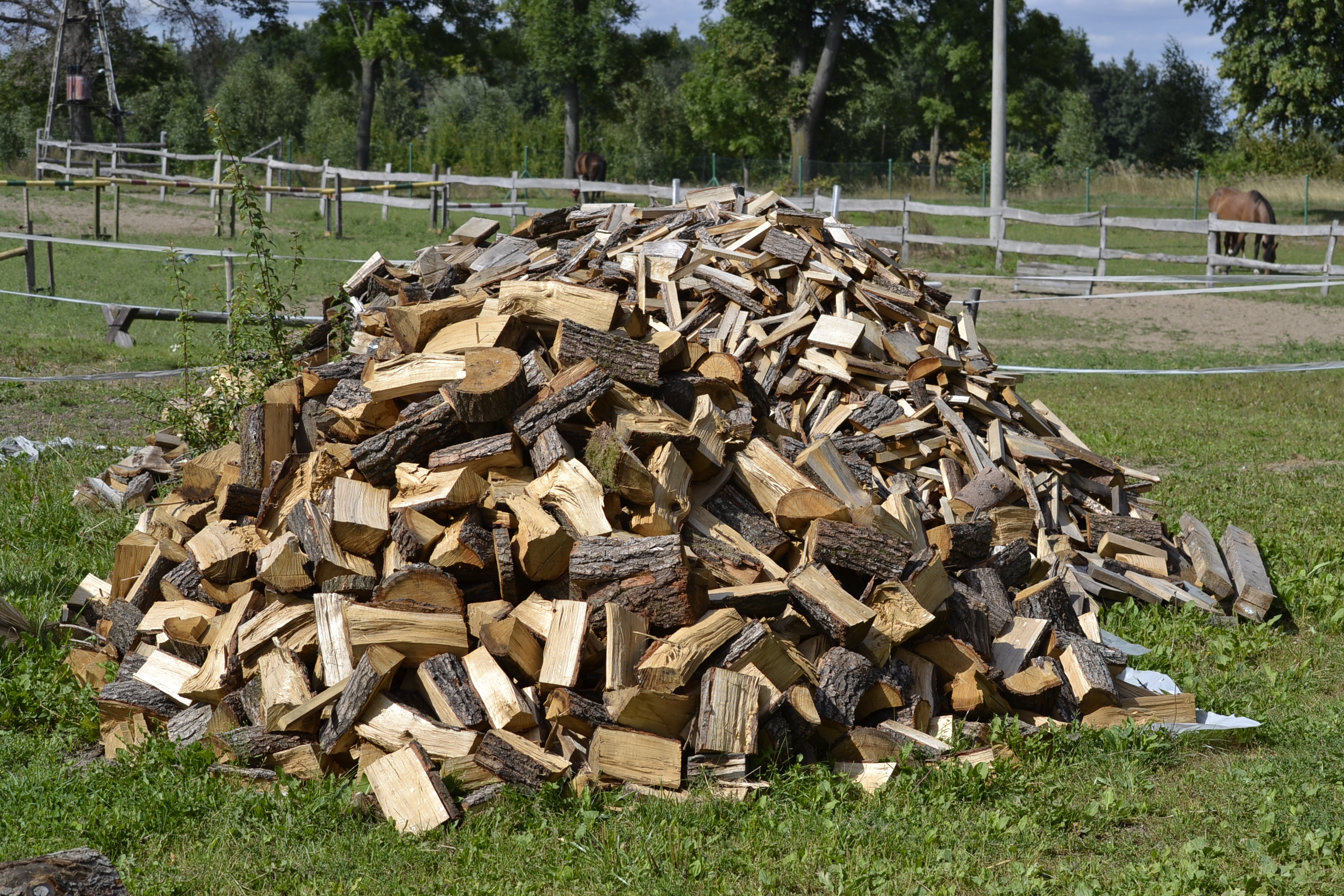 Stack of Wood