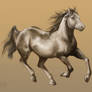 Running horse- painty style