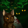 Tigerstar of ShadowClan