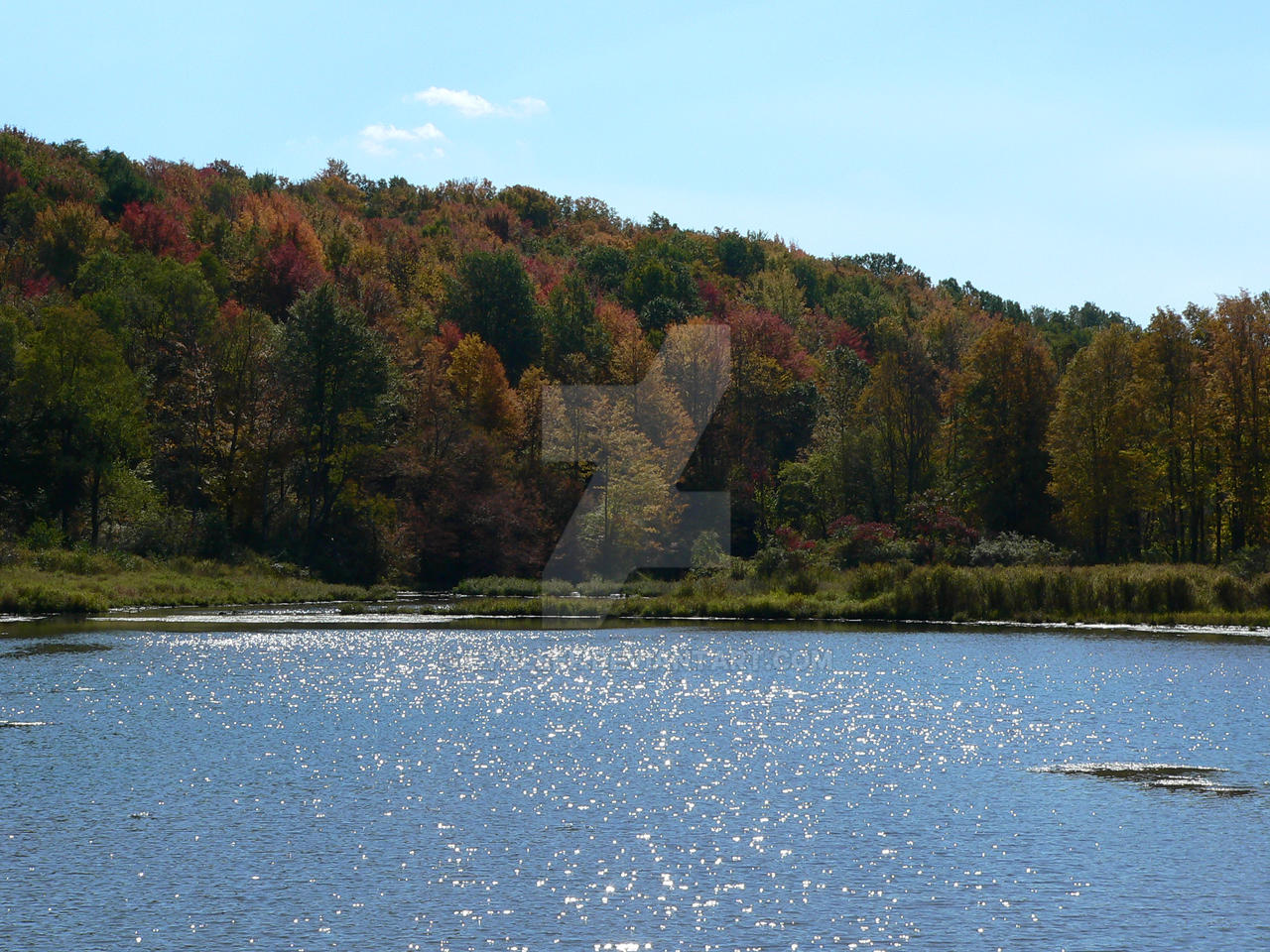 Fall Colors