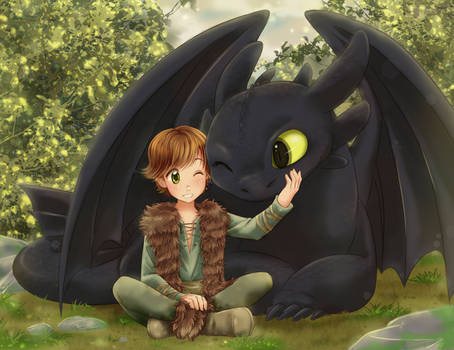 Hiccup and Toothless