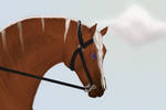 Under the Saddle by StarlitStables