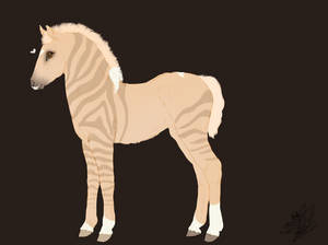 461 Foal Design