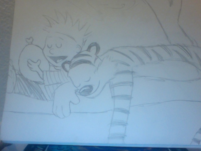 Calvin and Hobbes TDAJP