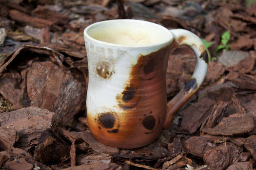 Wood-Fired Mug