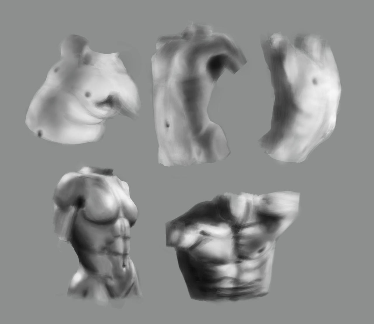 Writhing Torso Torso Practice 2 by Nemoburton31 on DeviantArt
