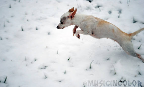 Snow Action