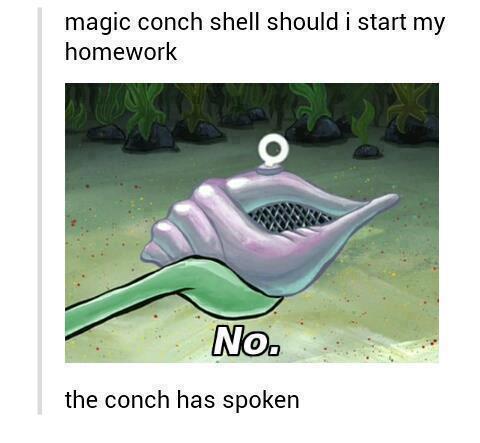 Conch has spoken