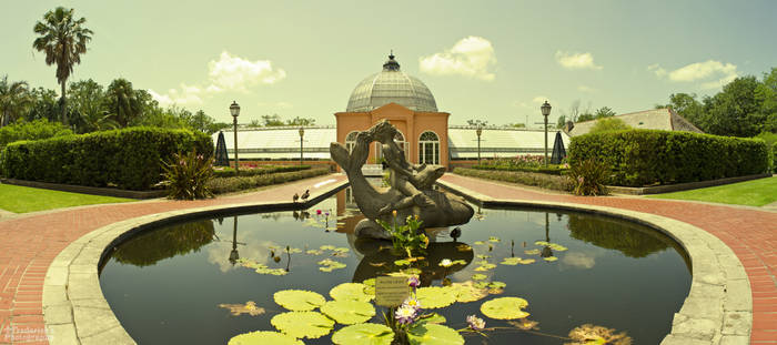 New Orleans botanical garden.