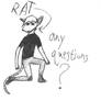 rat any questions