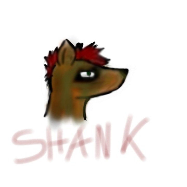 shank the raccoon