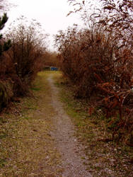 Fall Path