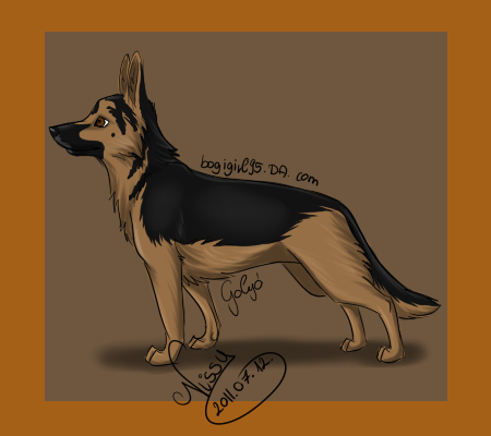 German shepherd