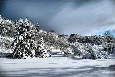 Norwegian Country Garden