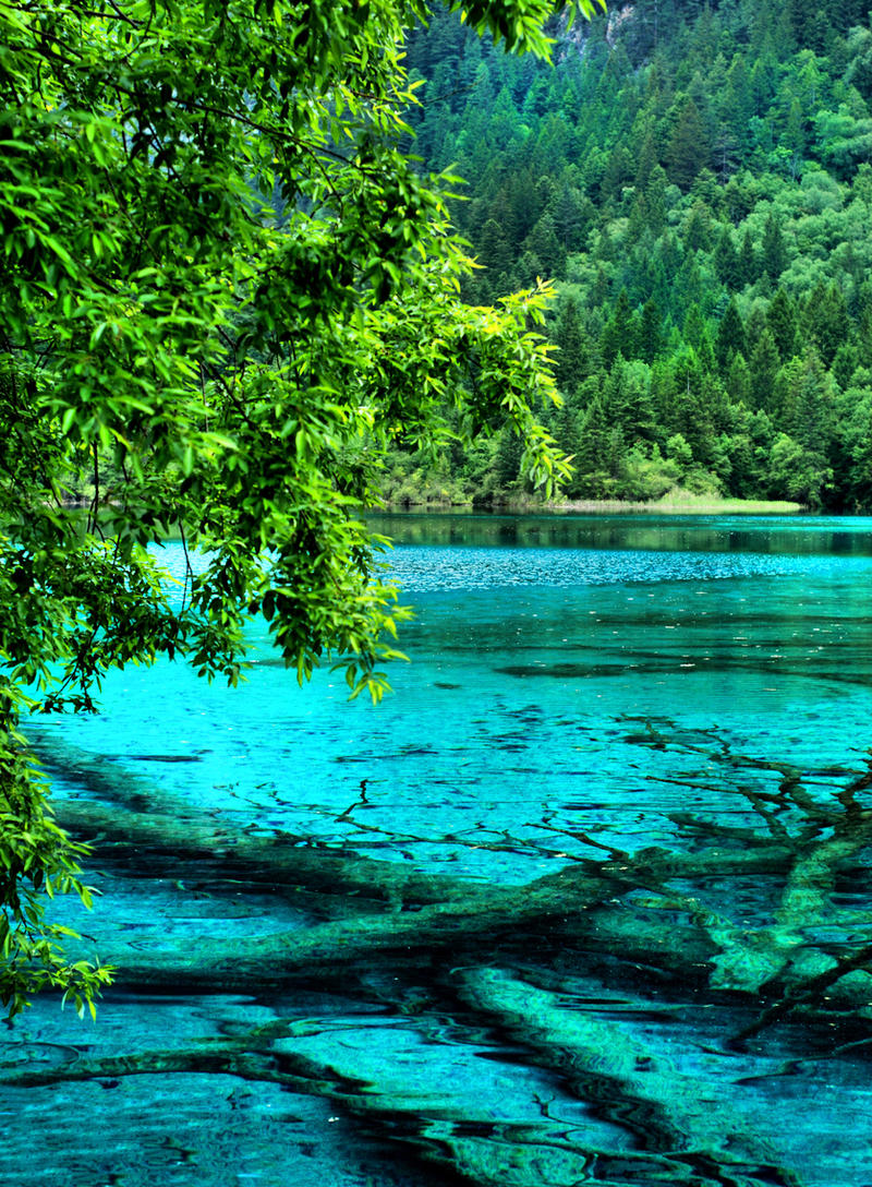 The Cyan Dream Of Jiuzhaigou