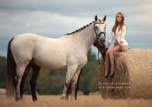 Girl And Her Horses