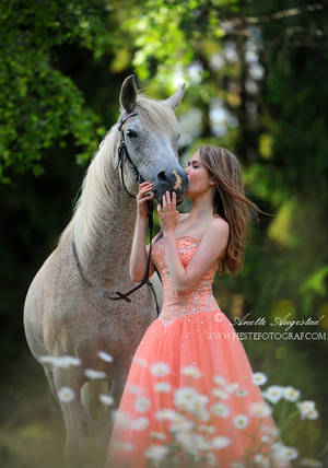 Kisses For My Girl by Hestefotograf Kisses For My Girl by Hestefotograf