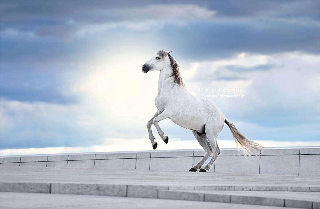 Magic (at Oslo Opera House)