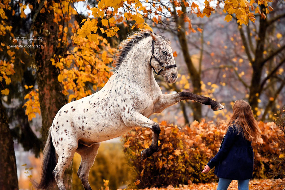 Autumn Fun by SerenataPhotography