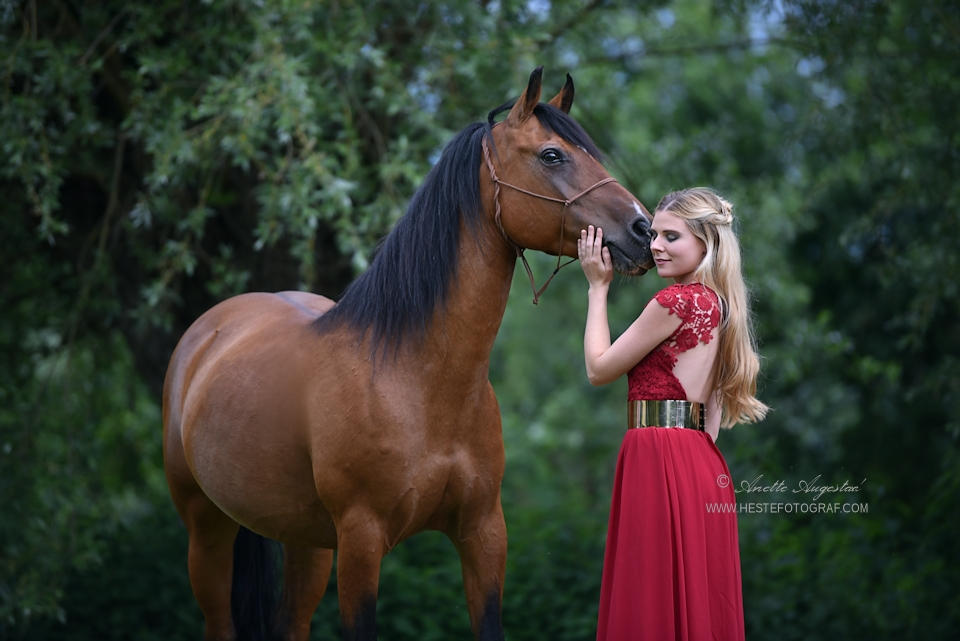 Red by SerenataPhotography