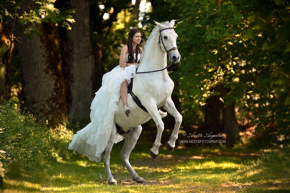 The Bride and The Spaniard by Hestefotograf