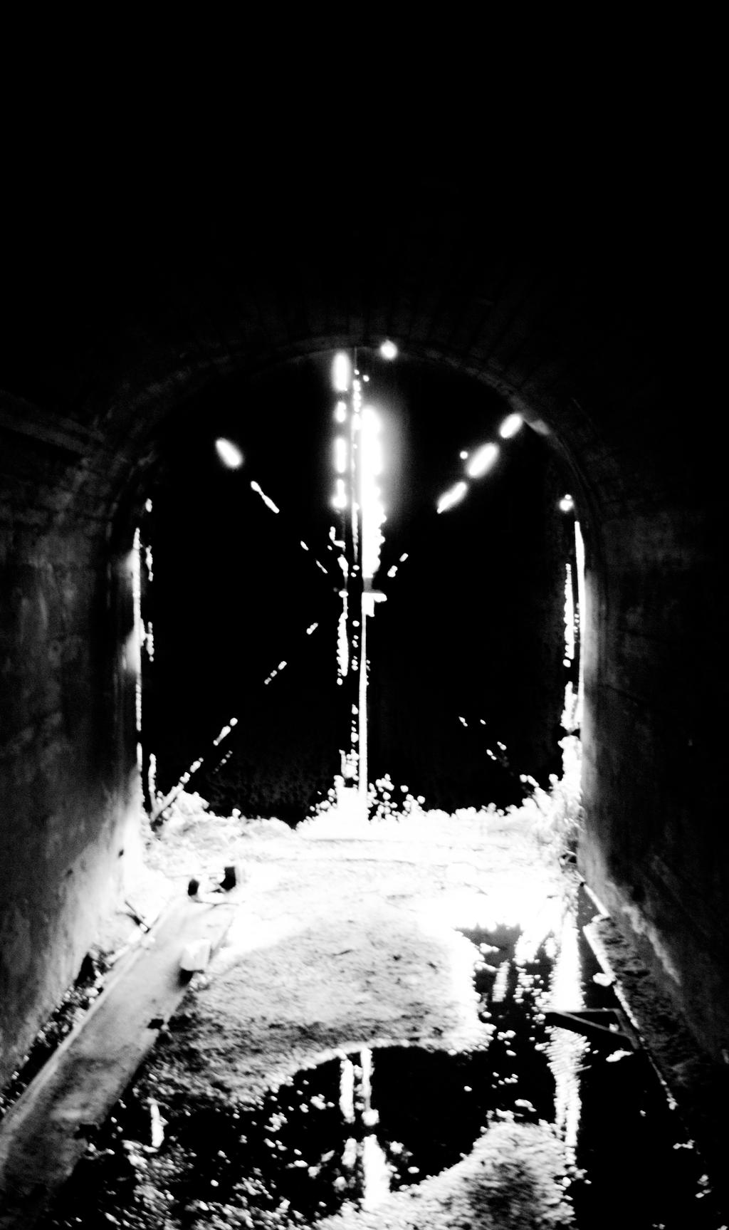 Tunnel door