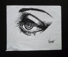 Eye