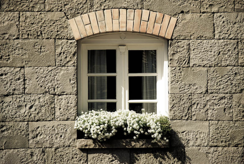 Window