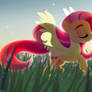 Fluttershy in the field