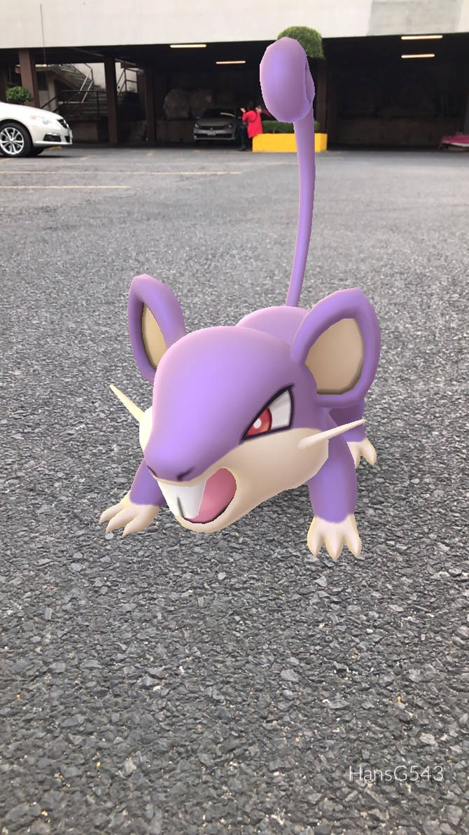 Cool Rattata Background Rattata by HansG543 on DeviantArt